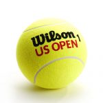 Bóng Tennis Wison US Open WRT1069 – Hộp 3 quả
