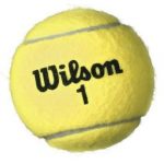 Bóng Tennis Wilson WRT110000 Championship (Lon 4 trái)
