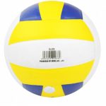 Quả Bóng Chuyền Động Lực DL200