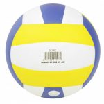 Quả Bóng Chuyền Động Lực DL 210 M3