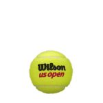 Bóng Tennis Wison US Open 2019 WRT107303PR 01 – Hộp 4 quả