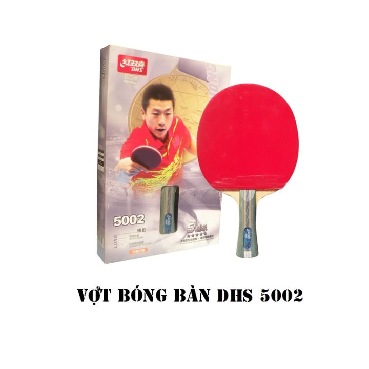 Vợt Bóng Bàn DHS 5002
