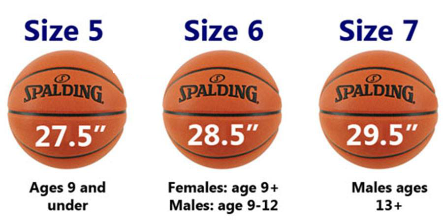 Размер мяча в мужском баскетболе. Баскетбольный мяч 3 размер диаметр. Диаметр баскетбольного мяча 6 размера. Размерная сетка баскетбольных мячей. Баскетбольный мяч 7 размер диаметр.